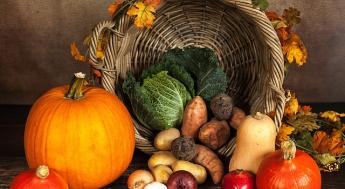 Pumpkin, Vegetables, Autumn image