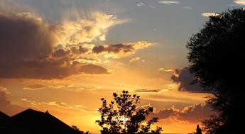 image of sunset behind silhouette of trees and mountain