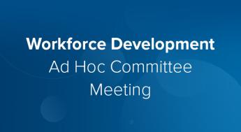 Workforce Development Ad Hoc Committee meeting