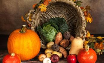 Pumpkin, Vegetables, Autumn image