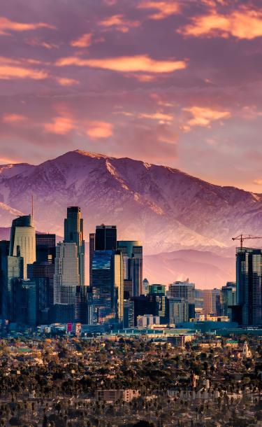 City of Los Angeles Banner Image