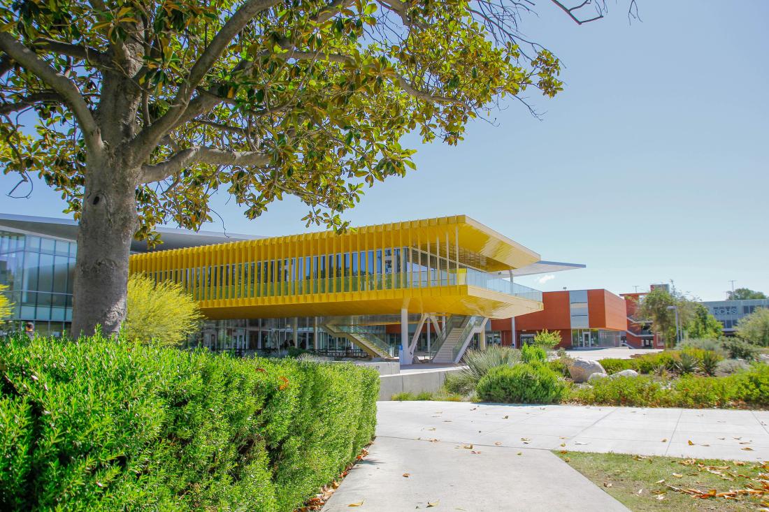 Yellow Building in Student Plaza Tree view