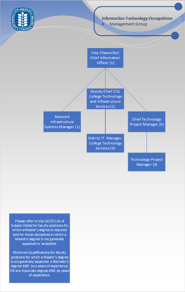 Org Chart - IT Management Group