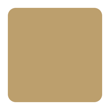District Gold Swatch