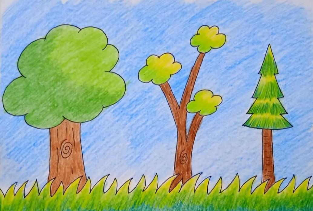 Child's drawing of trees