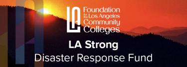 LA Strong Disaster Response Fund